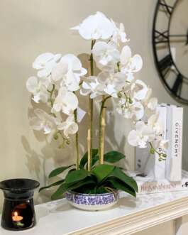Orchid 3 branches with Vase