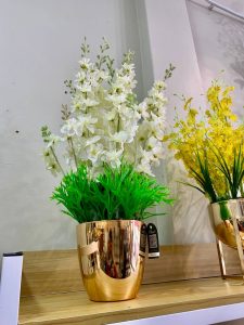 Flower - Sundal Malam